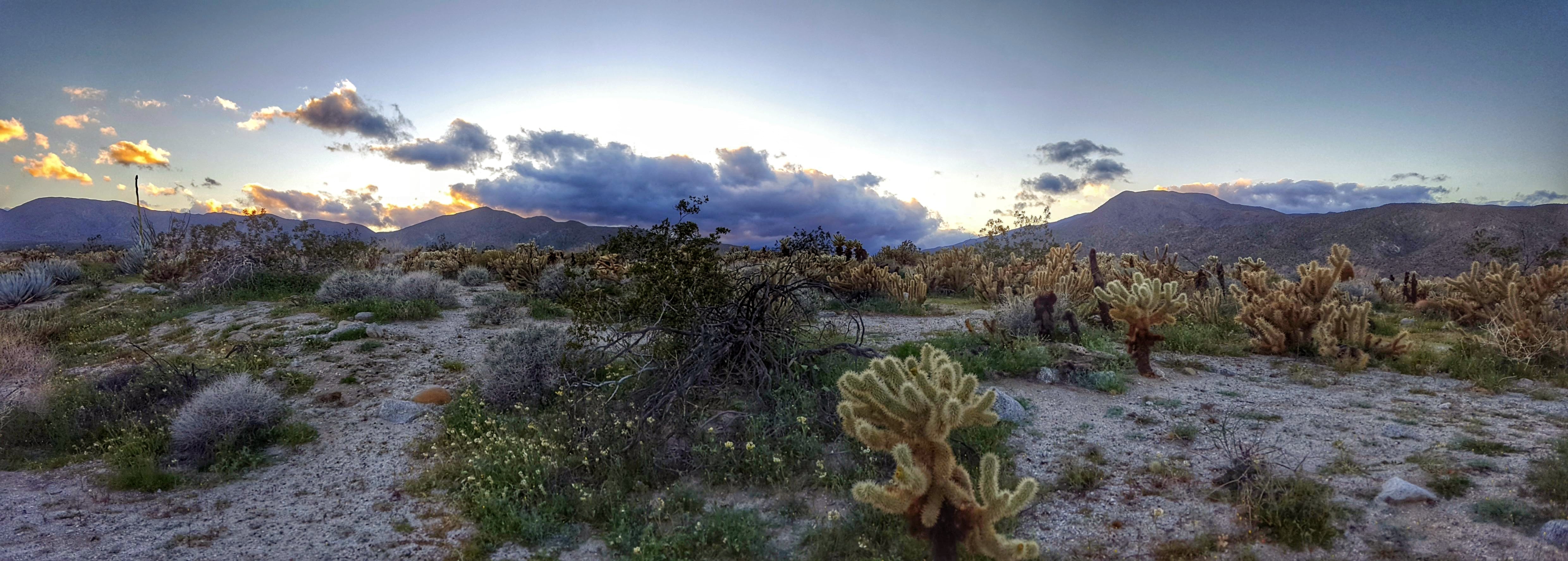 Anza Borrego desert sunset